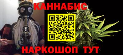 сатива Можга