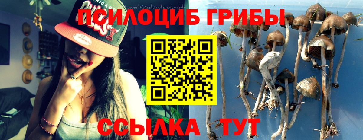Галлюциногенные грибы мухоморы  Вход с VPN  Топки  Галлюциногенные грибы Psilocybe 