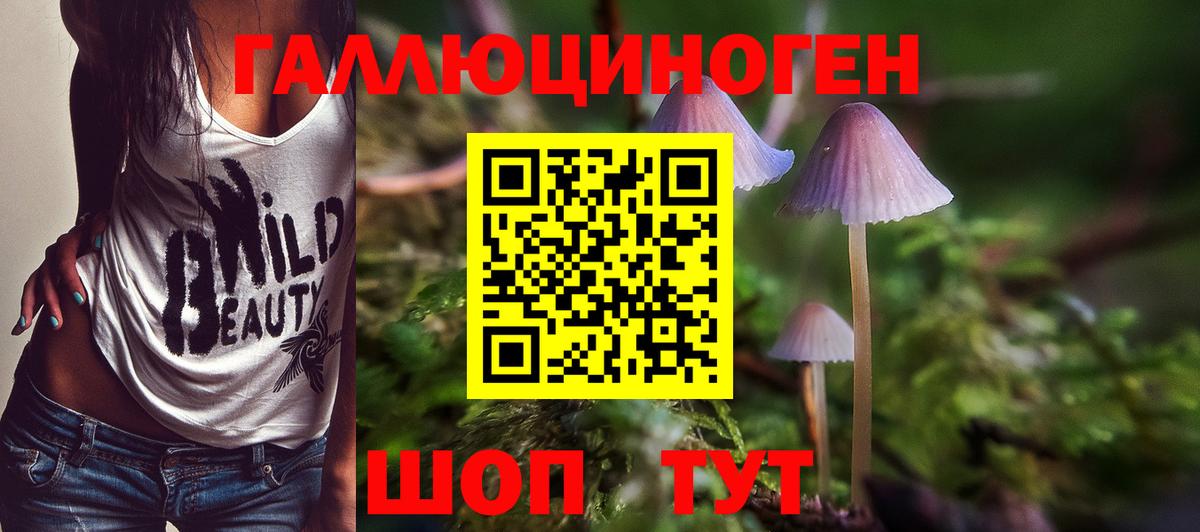 Галлюциногенные грибы Magic Shrooms Топки